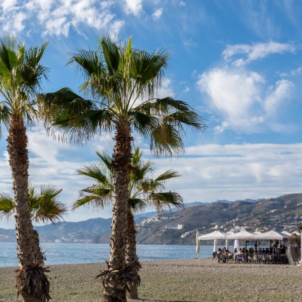 Alquiler Apartamentos Playa Granada